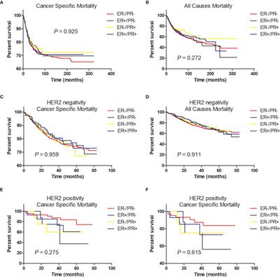 Single Hormone Receptor-Positive Metaplastic Breast Cancer: Similar Outcome as Triple-Negative Subtype